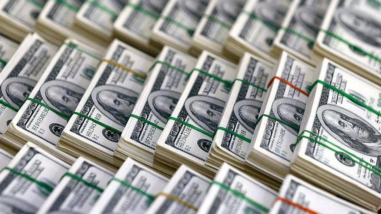 Dünya Bankası'ndan Türkiye'ye 191,5 milyon dolar! İşte paranın kullanılacağı alan 