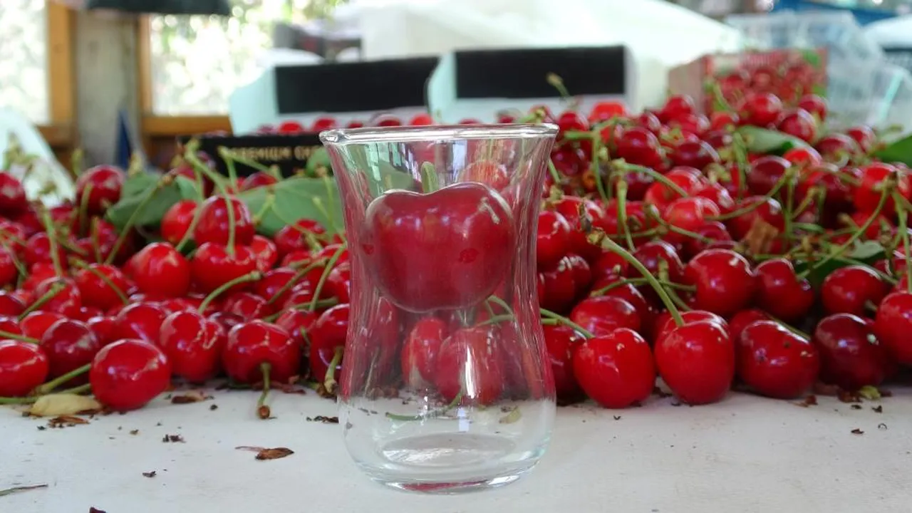 Çay bardağına sığmıyor! Madeni 5 TL'den bile büyük... Fiyatı bahçesinde 600 lira