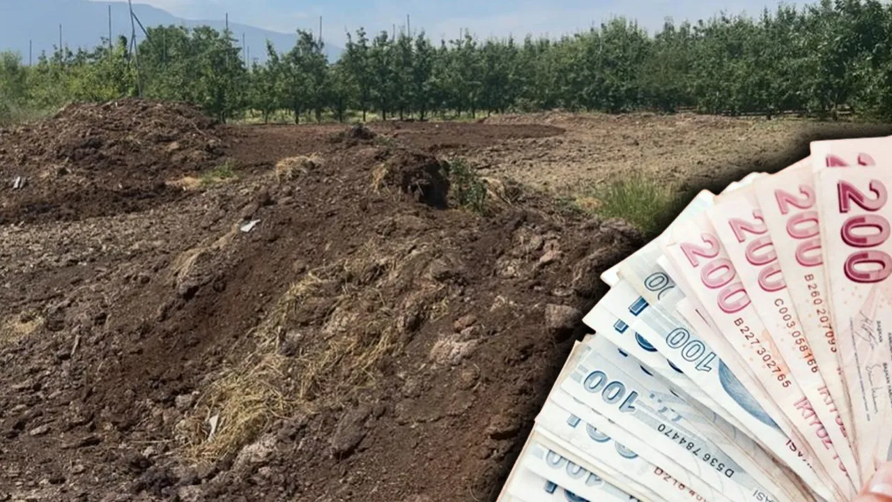 Çiftçi için velinimet ama değeri bilinmiyor! Günlük 5 bin liraya çalışacak işçi bulunmuyor