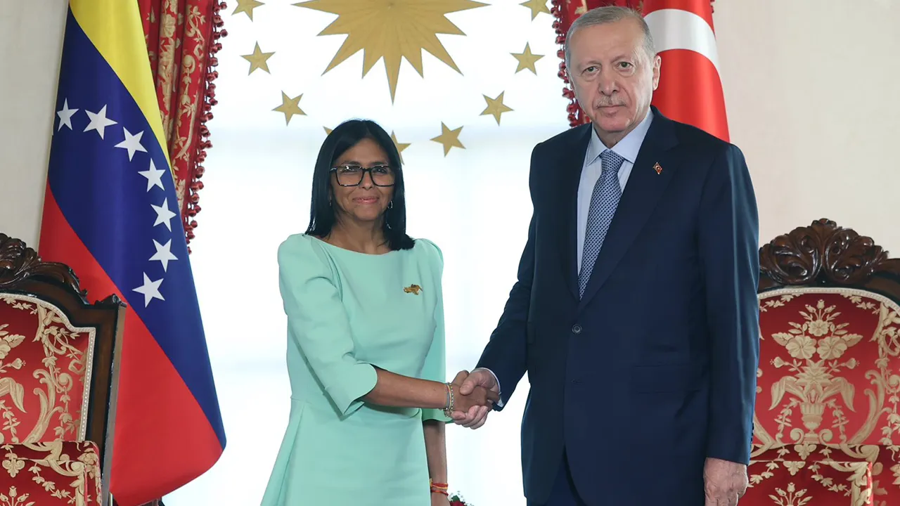 Cumhurbaşkanı Erdoğan, Venezuela Cumhurbaşkanı Vekili Delcy Rodriguez ile görüştü