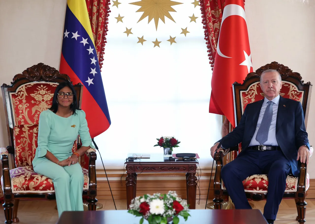 Cumhurbaşkanı Erdoğan, Venezuela Cumhurbaşkanı Vekili Delcy Rodriguez ile görüştü