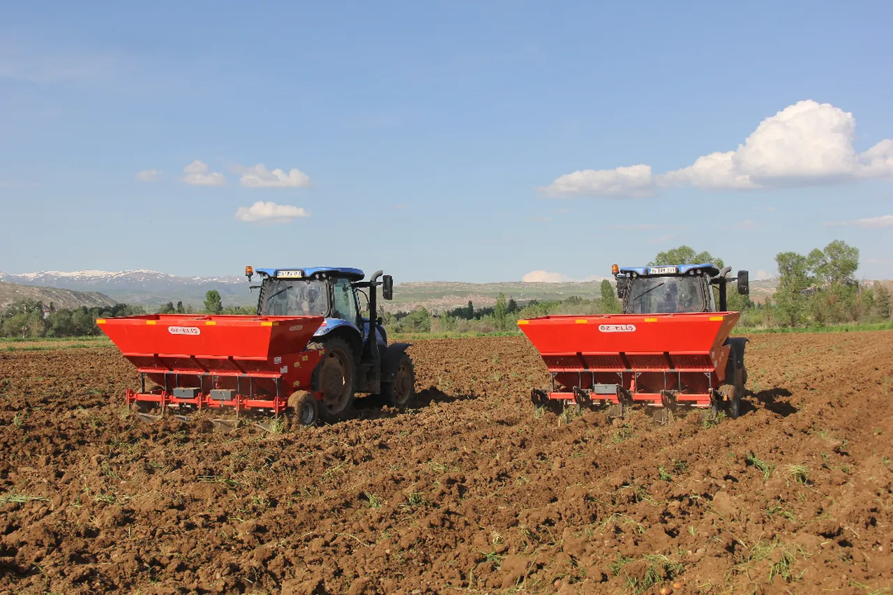 Tohumlar toprakla buluştu! 15 bin dekara ekildi, bu yıl 75 bin ton hasat bekleniyor 