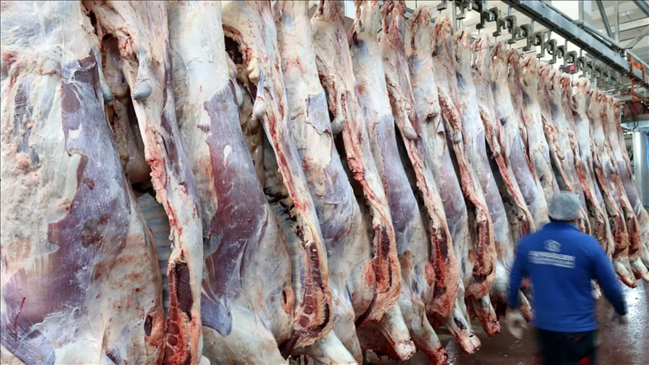 30 milyon euroluk hibe için geri sayım başladı! Başvurular 12 Haziran'da başlıyor