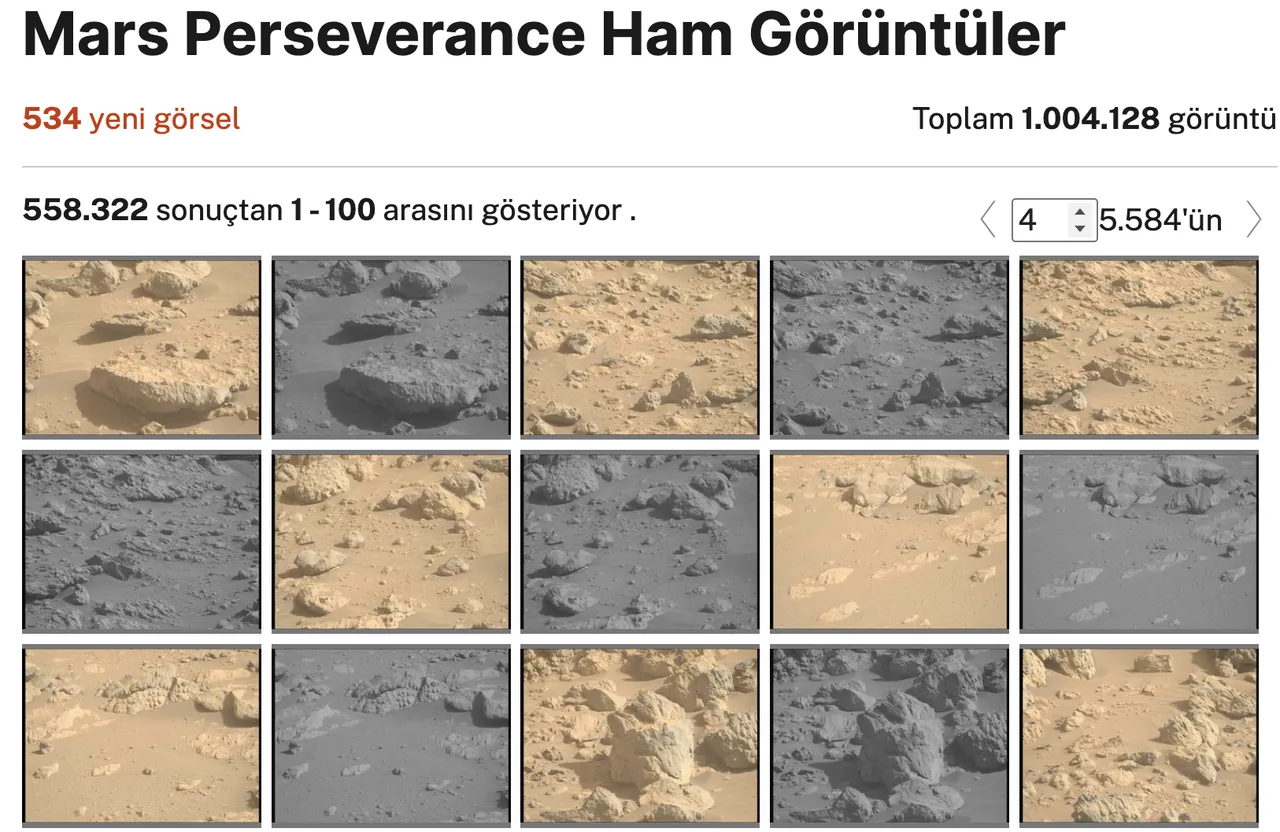 Marsta fosil kalıntısı bulunduğu iddiası sosyal medyayı salladı! İşte görüntülerin altında yatan gerçek