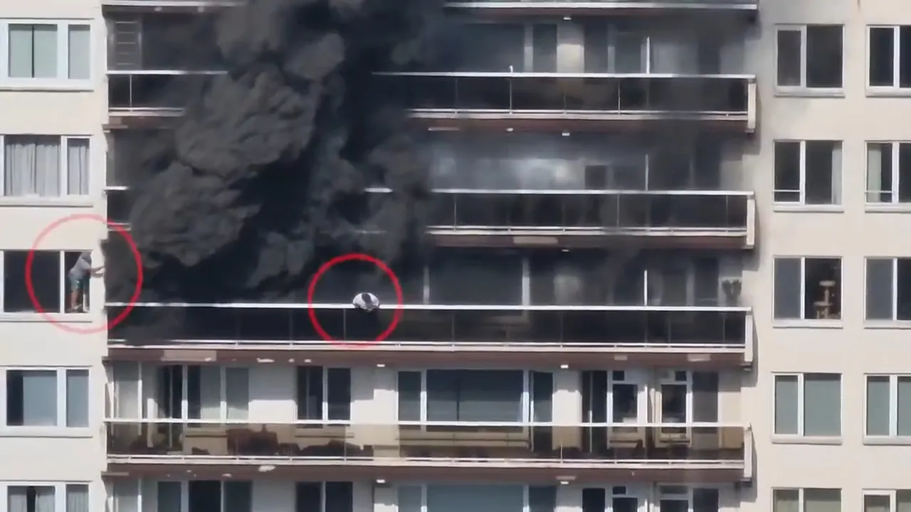 Belçikada 10 katlı apartmanda can pazarı! Binayı alevler sardı, kurtulmak için cama çıktılar
