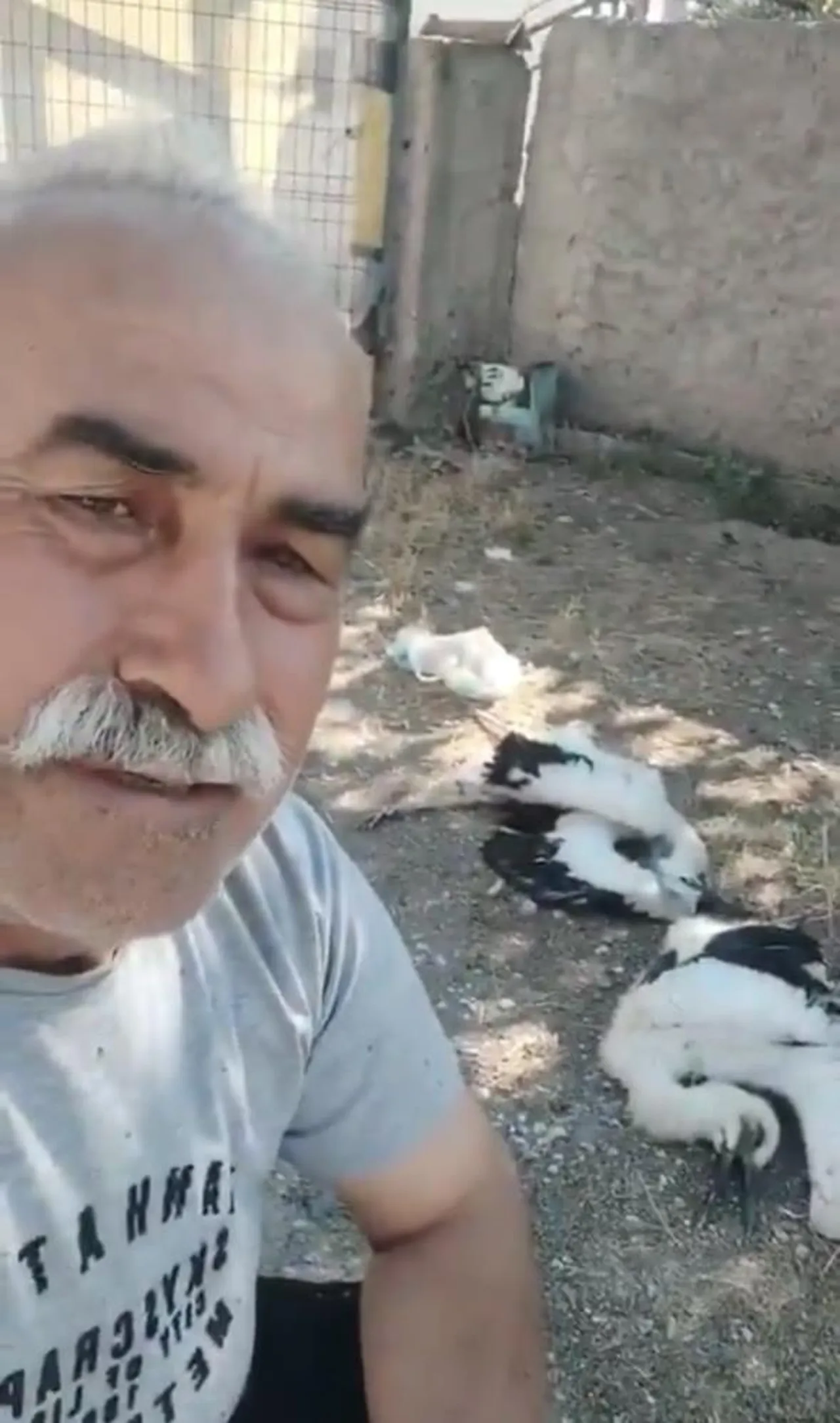 Sosyal medya bu görüntüleri konuşuyor! 'Kurtaramadım' diyerek ağladı