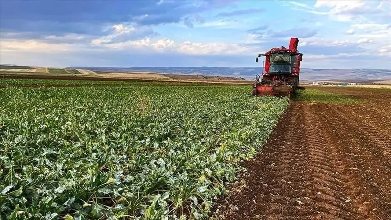 Çiftçinin ürünü direkt pazara ulaşacak! Dağ köyleri üretim üssüne dönüşüyor