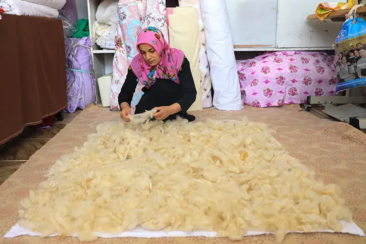 Çöpe giden koyun yünü servet olacak! İlaç ve kozmetiğin ham maddesine dönüşecek