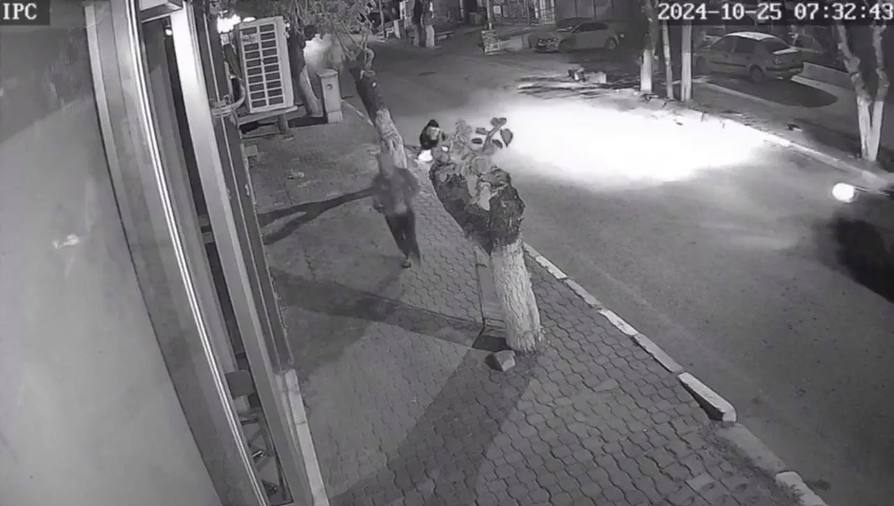 Genç kızı defalarca bıçakladı, tahliye edildi... Dosyada yeni gelişme