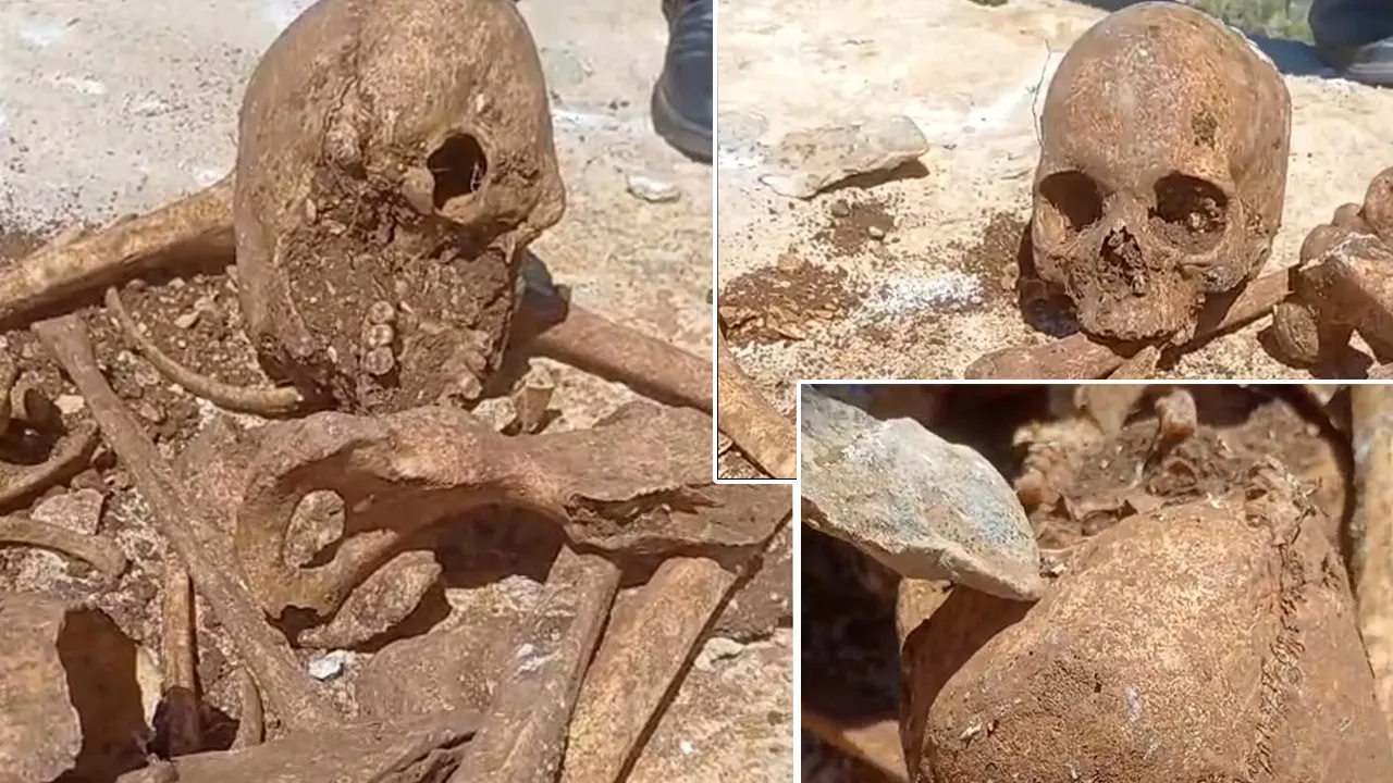 İnşaat kazısında tüyler ürperten olay! İnsan kemikleri ve kafatası bulundu