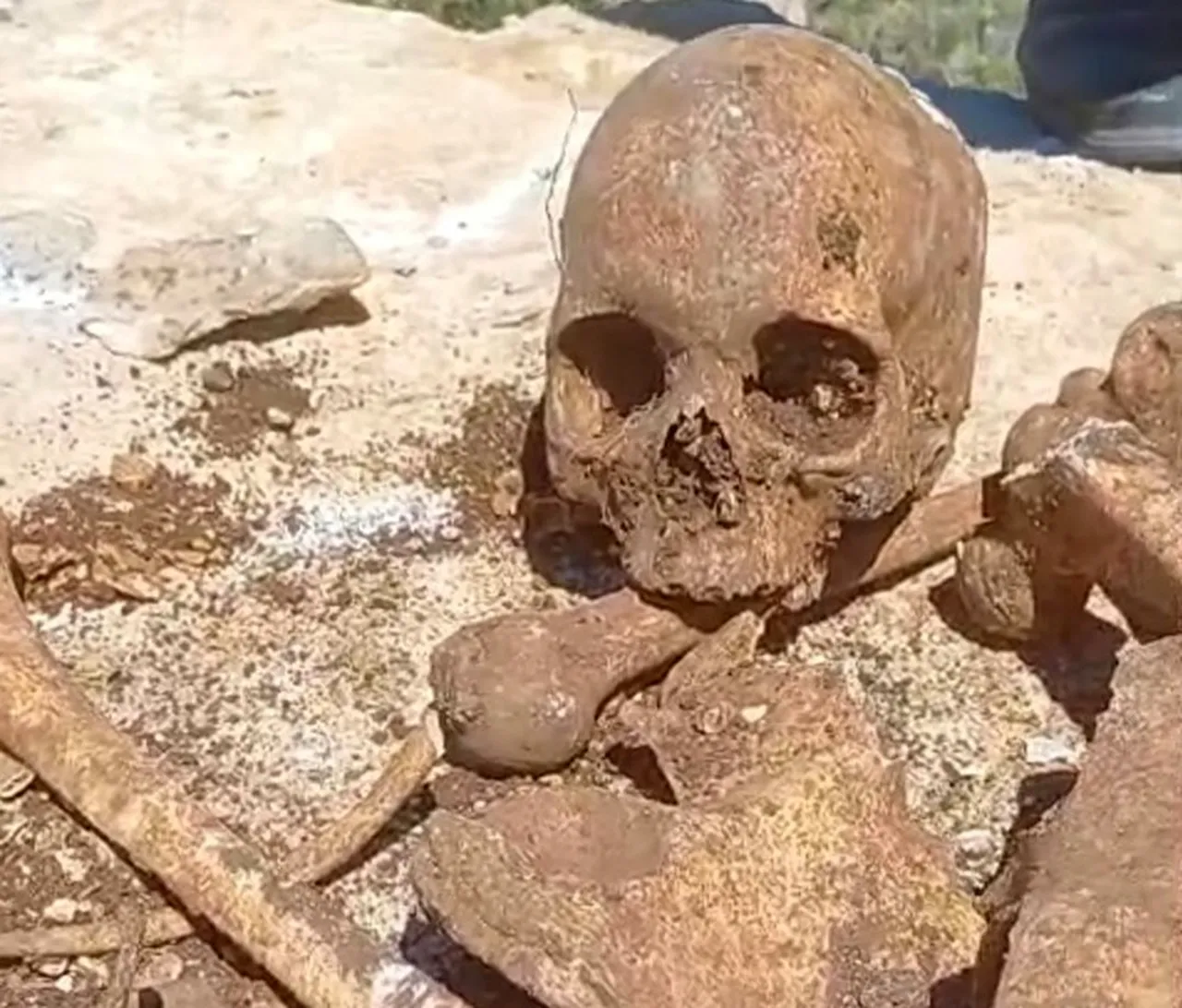 İnşaat kazısında tüyler ürperten olay! İnsan kemikleri ve kafatası bulundu