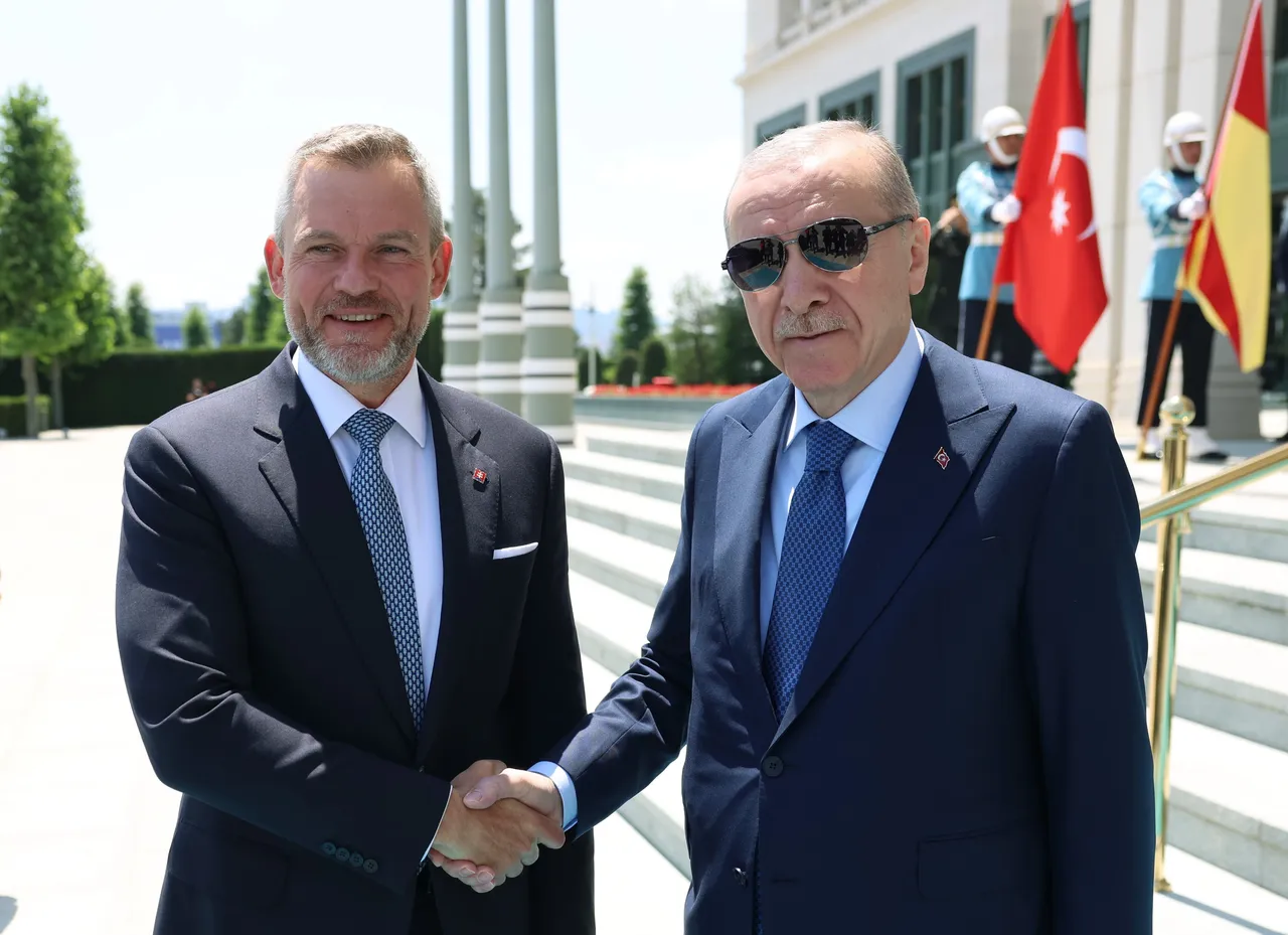 Cumhurbaşkanı Erdoğan ve Slovakya Cumhurbaşkanı Peter Pellegrini