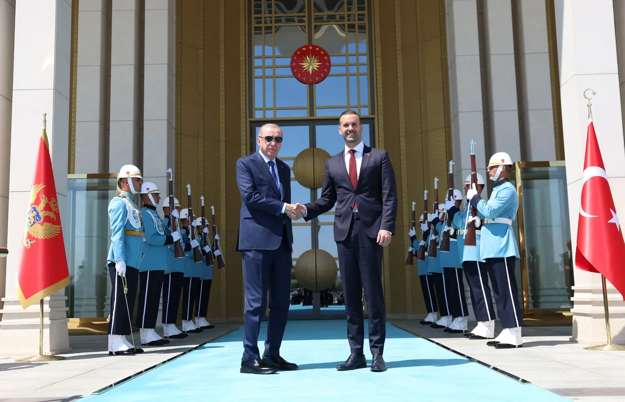 Cumhurbaşkanı Erdoğan ve Karadağ Başbakanı Milojko Spajic