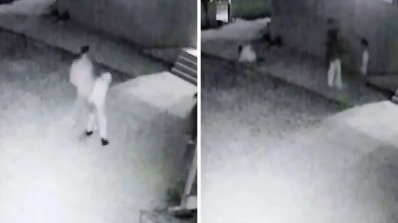 Cami avlusunda uygunsuz davranan çifti uyaran imam darbedildi!