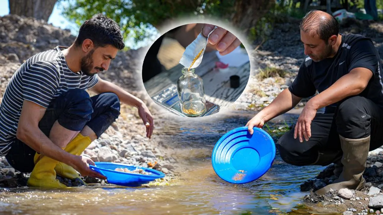 Dere kenarlarından altın topluyorlar! 1 günde 20 grama kadar buluyorlar