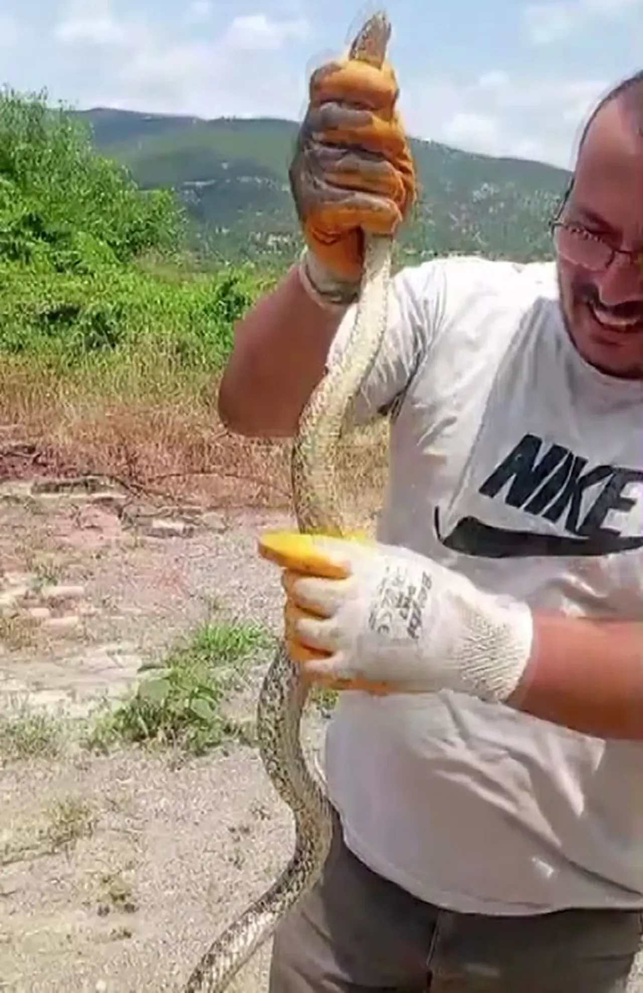 Karyolanın altından çıkan yılanı boynuna doladı