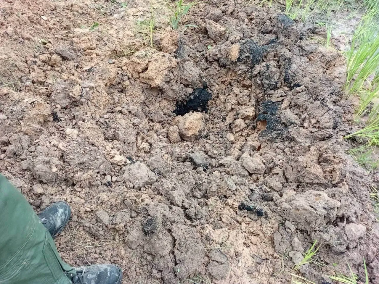 Köpek eve el bombası getirdi, ekipler devreye girdi! Faciadan son anda dönüldü