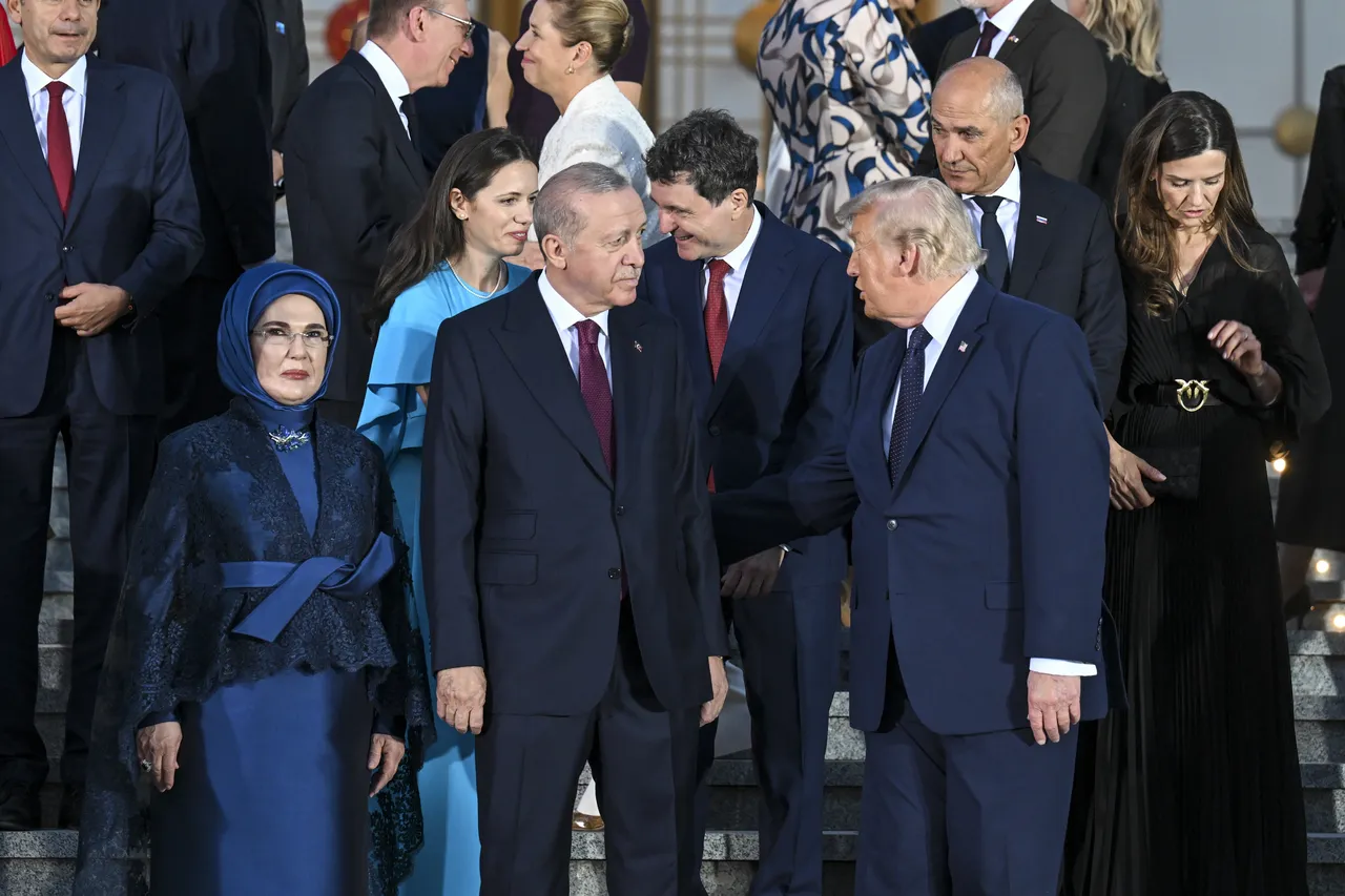 Varank'tan, "NATO Zirvesi'nde alkol servisi yapıldı mı?" sorusuna cevap