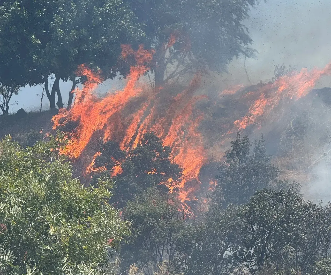 Bodrumda korkutan yangın! Alevler evlere yaklaşınca ekipler alarma geçti