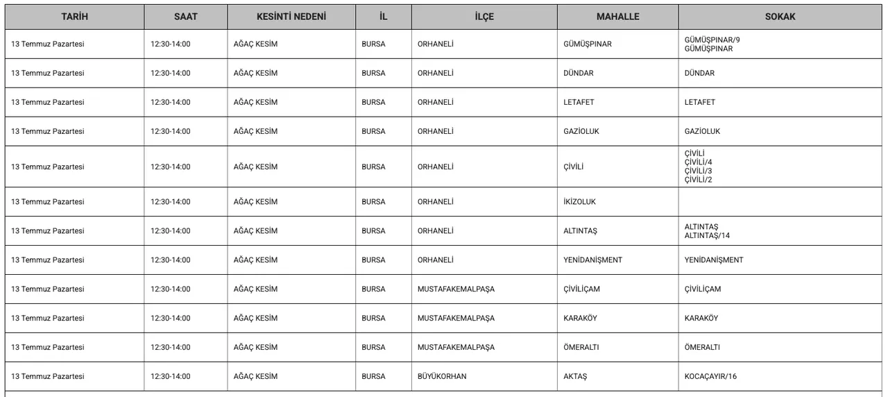 Bursa elektrik kesintisi 12-13 Temmuz: UEDAŞ Bursada elektrikler ne zaman gelecek?