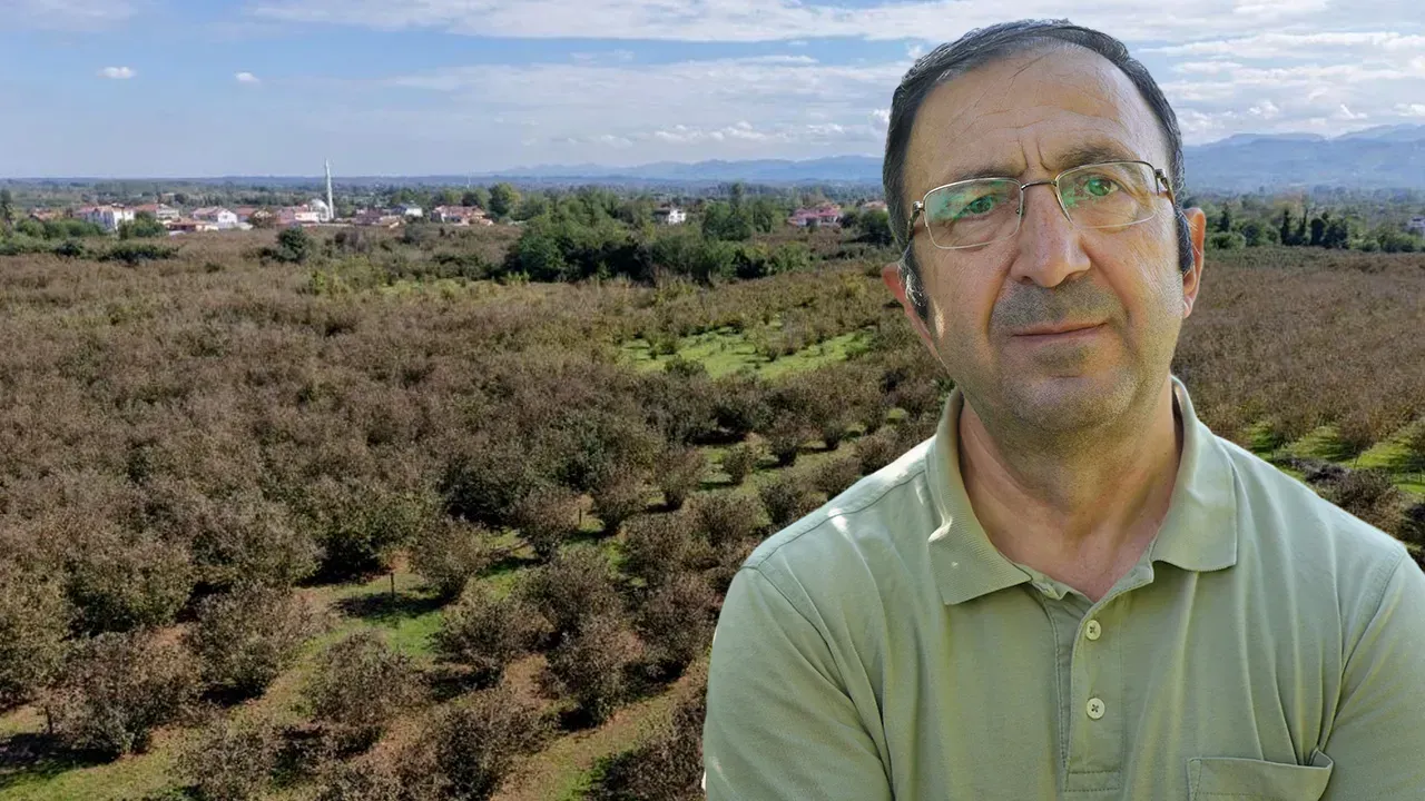 HASAT ÖNCESİ KRİTİK ÖNERİ