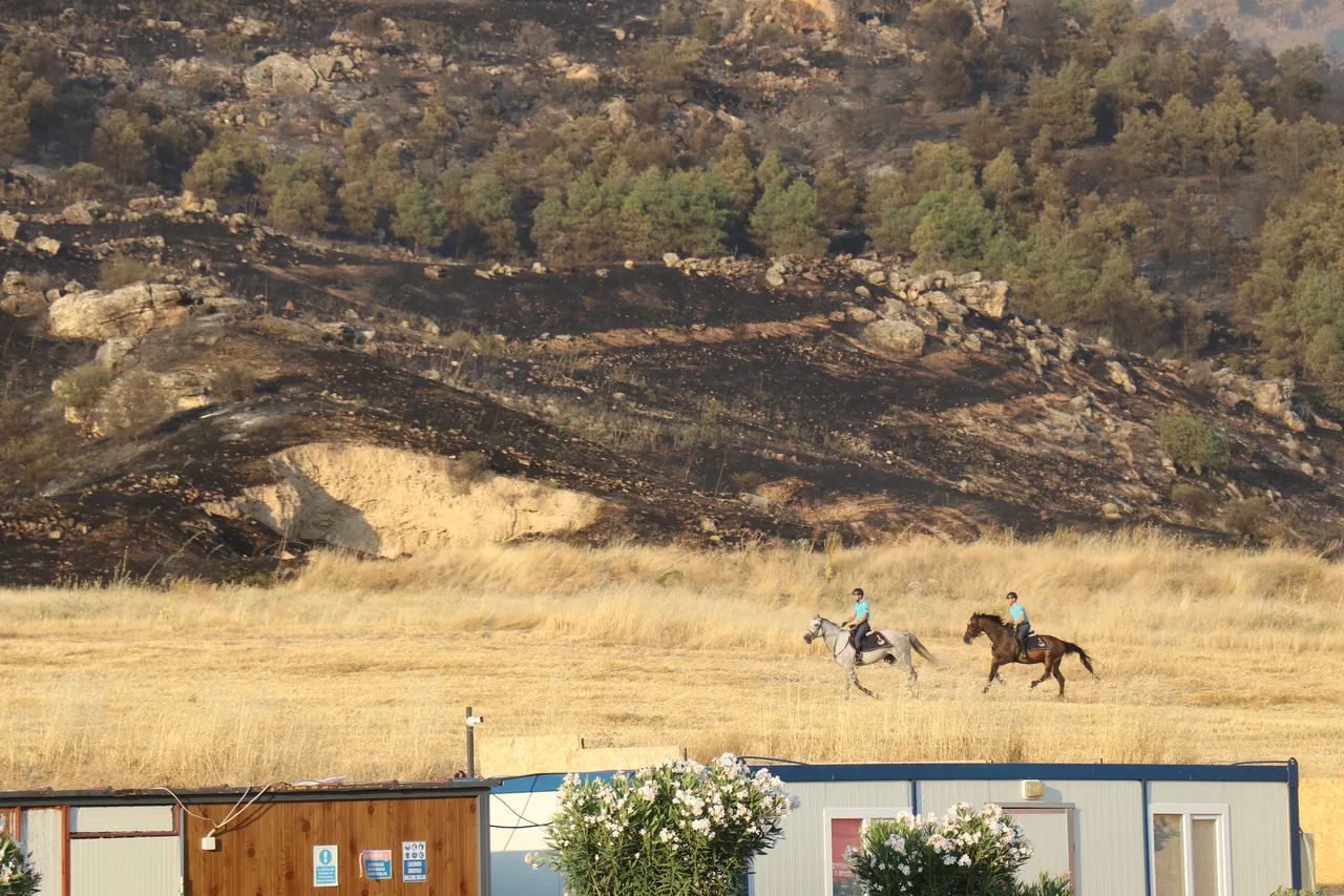 Pamukkalede alevlerle zaman yarışı! Atlı jandarmalar da seferber oldu