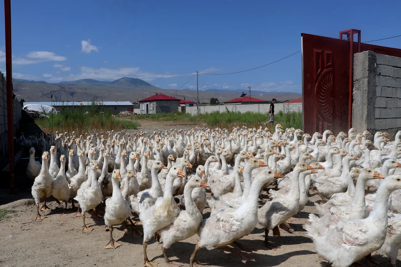 Hobi olarak başlamıştı, şimdi çiftliği var!