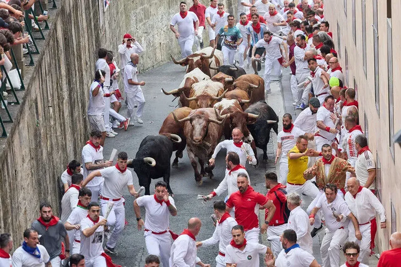 İspanyadaki geleneksel boğa koşusunda durum vahim! Bilanço giderek ağırlaşıyor
