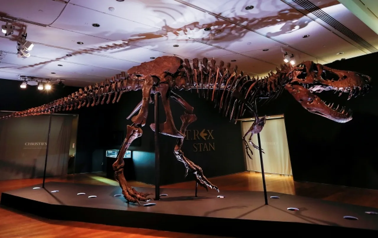 On dakikada 50,1 milyon dolara satıldı! T-rex iskeleti rekor fiyata alıcı buldu
