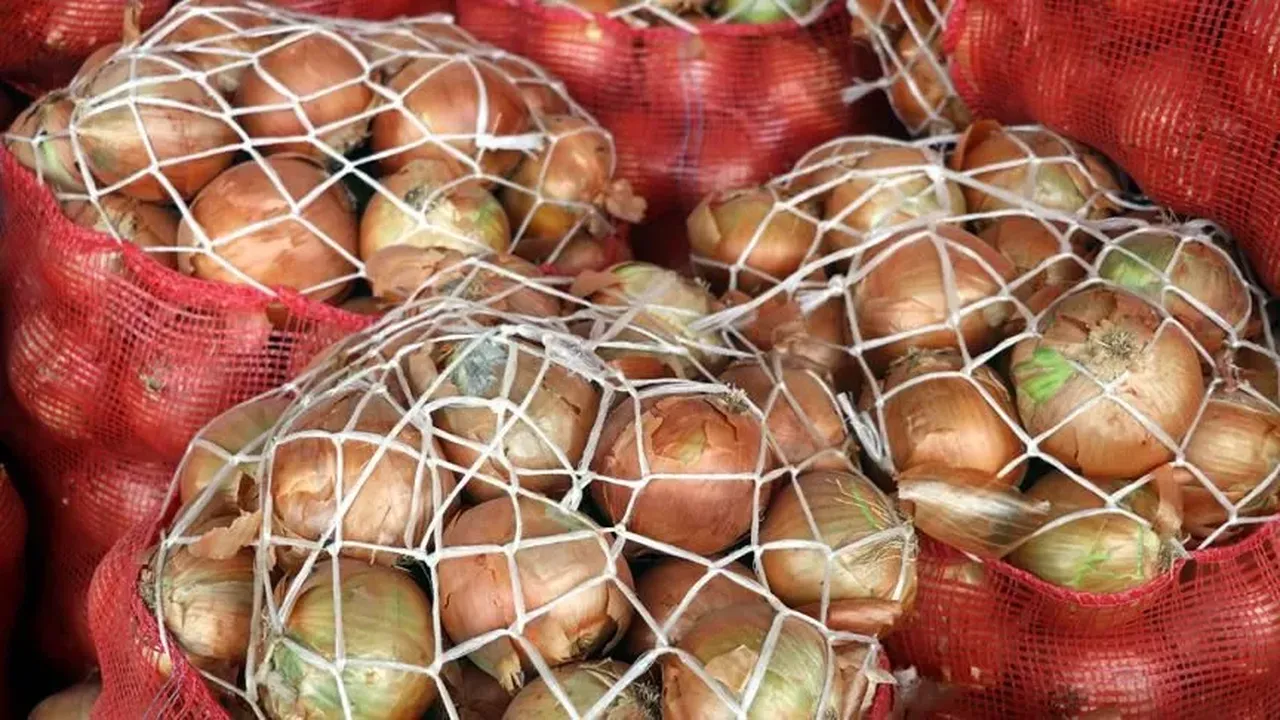 Soğandaki fiyat artışına vergi ayarı! Gıda ithalatına 'denge' düzenlemesi