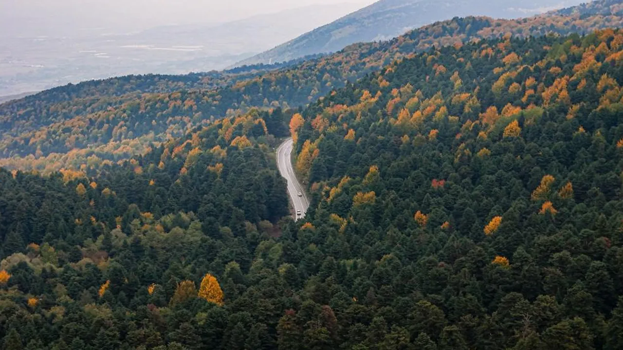 Bolu'da ormanlara giriş yasaklandı