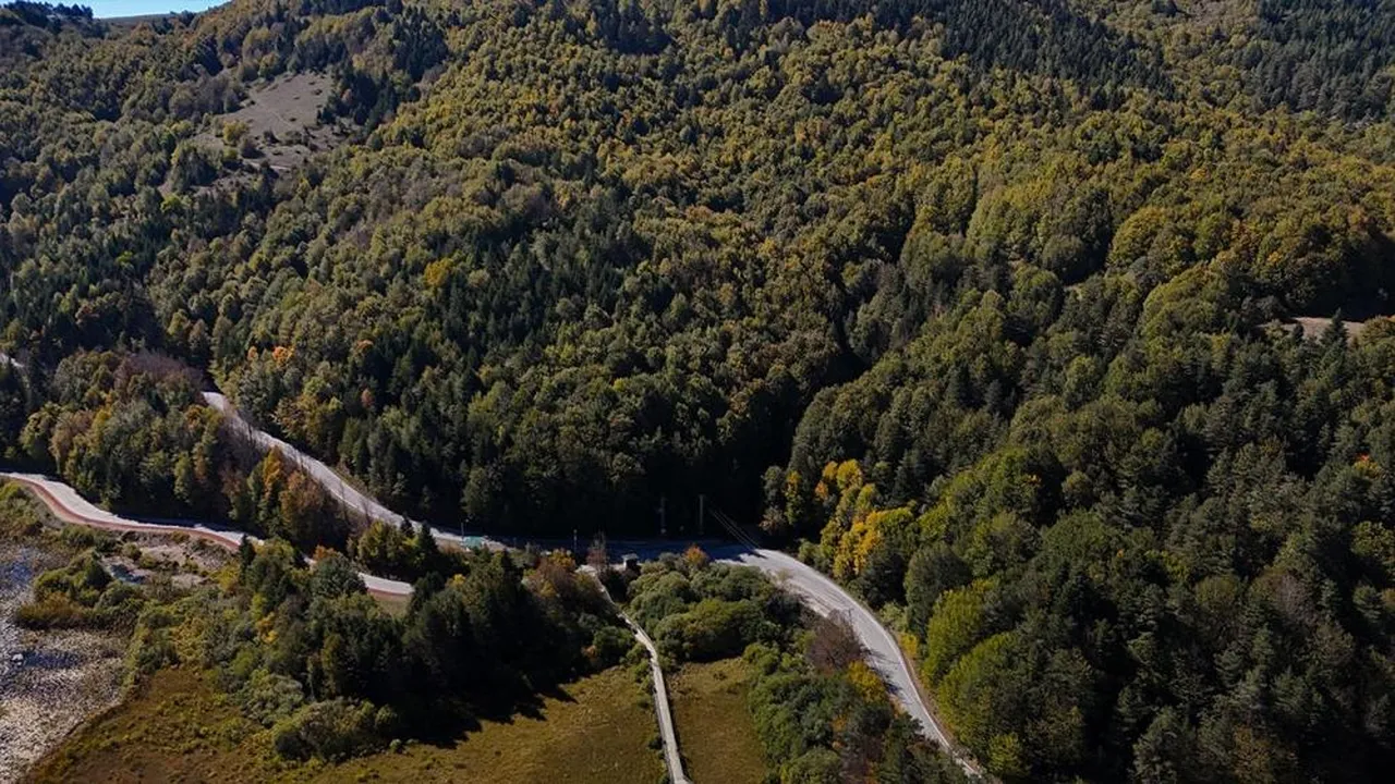 Bolu'da ormanlara giriş yasaklandı