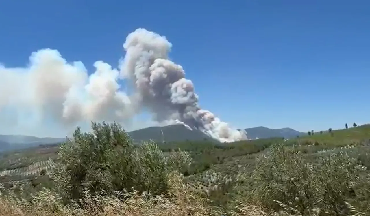 Manisa'da orman yangını: 8 uçak ve 8 helikopterle müdahale ediliyor