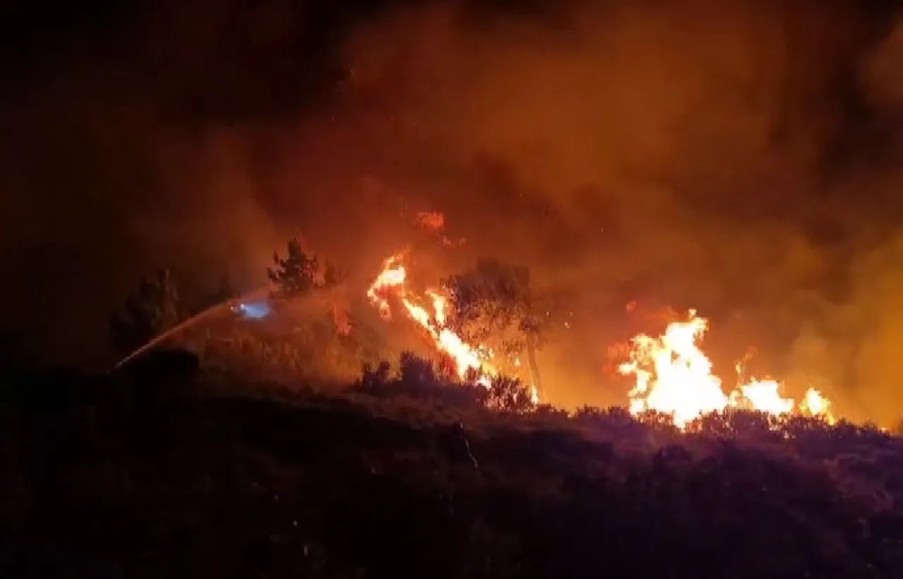 Milasta alevler turizm bölgesini kuşattı: 1120 kişi gece yarısı tahliye edildi!