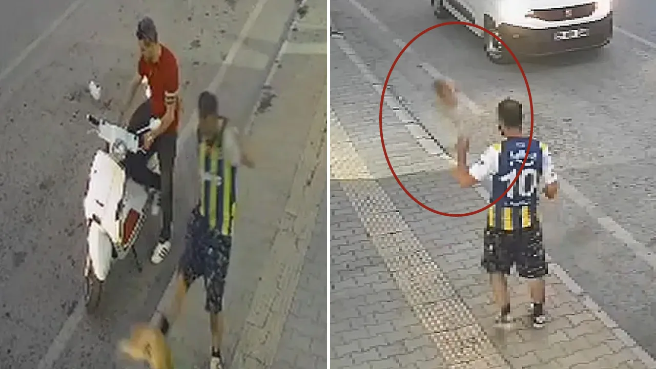 Sosyal medyayı ayağa kaldıran görüntü! Kediye tekme atan şüpheli yakalandı