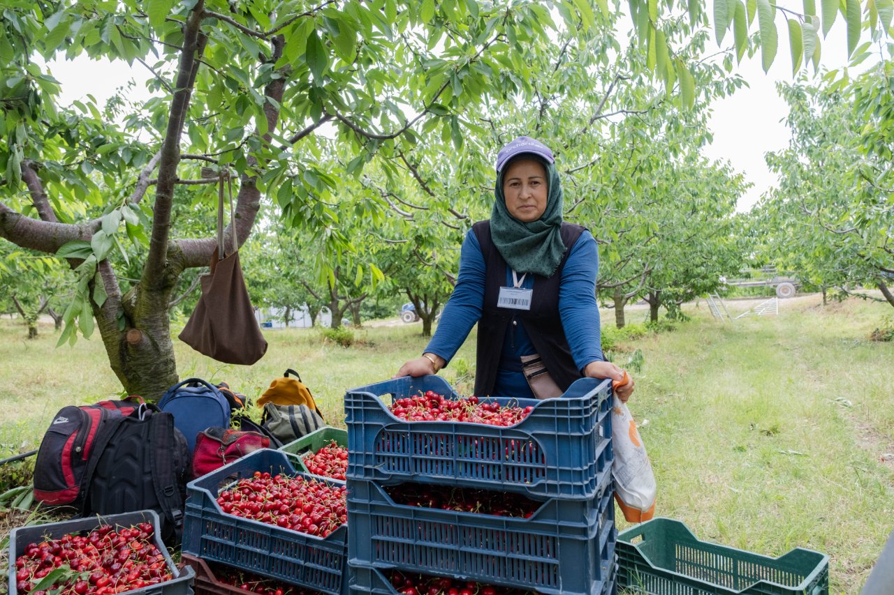 Köylülerin yaptığı hamle büyün ahaliyi ihya etti! Gelirlerini katladılar
