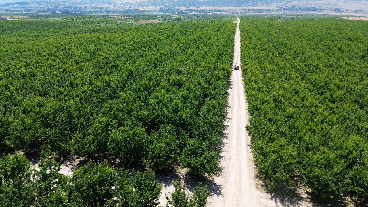 Köylülerin yaptığı hamle büyün ahaliyi ihya etti! Gelirlerini katladılar
