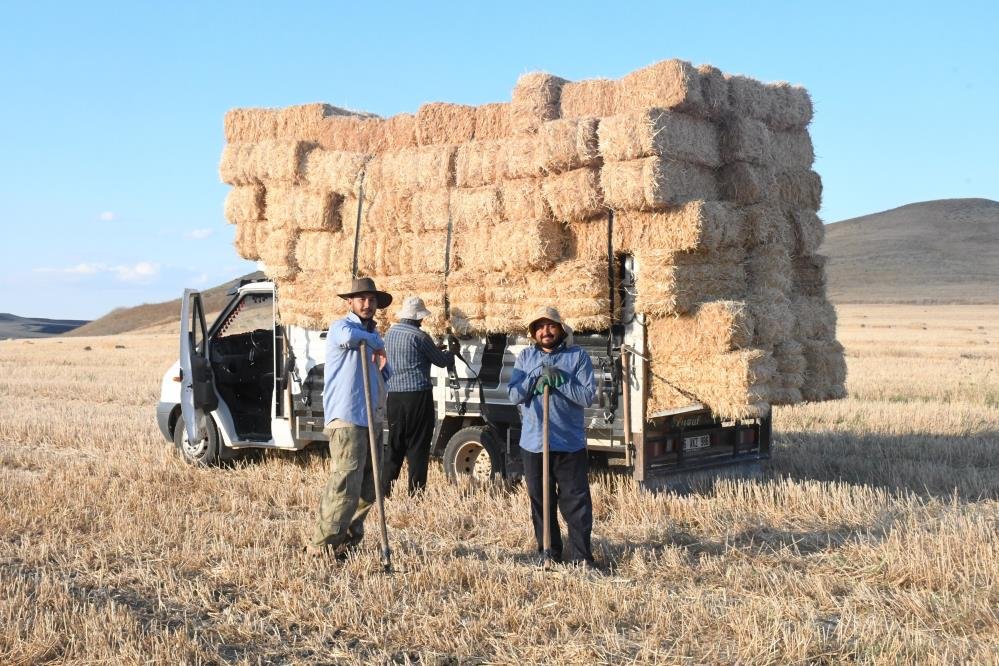Günlük yevmiyeleri 7 bin lira! Hasat sonrası en kazançlı mesai başladı