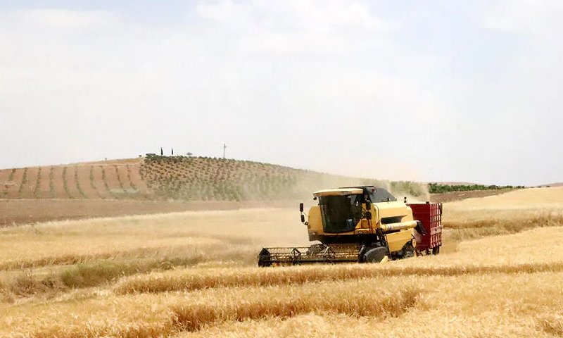 Tahıl kralı Arthur Strudelin Antalyadaki sır ölümü! Sevgilisi şirketin başına geçti, çocukları ‘cinayet’ dedi