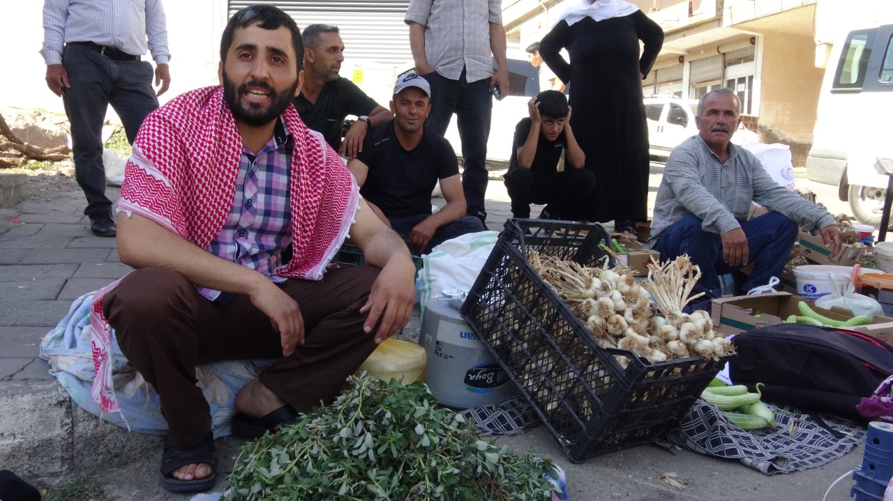 Bahçede kendiliğinden yetişiyor! Gören şifa diye topluyor, faydası saymakla bitmiyor
