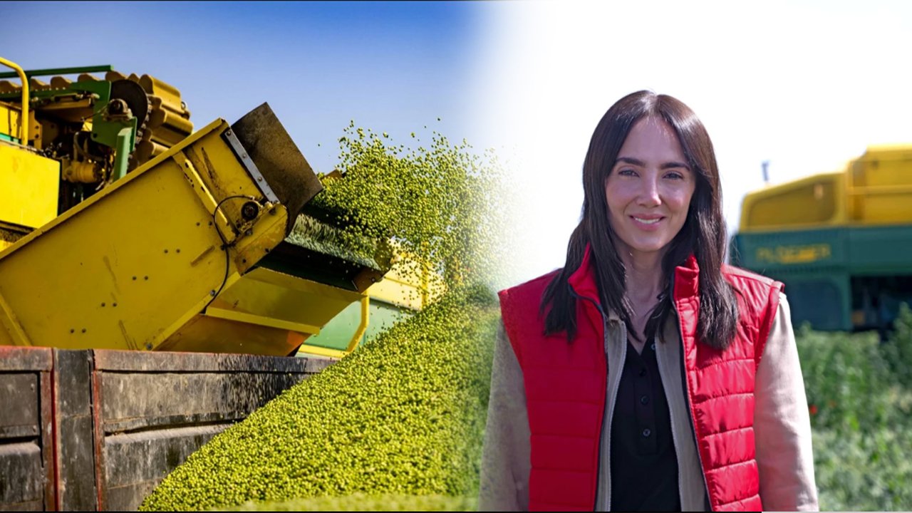 SuperFresh’in ‘hasat’ı yılın 365 günü sofralarda