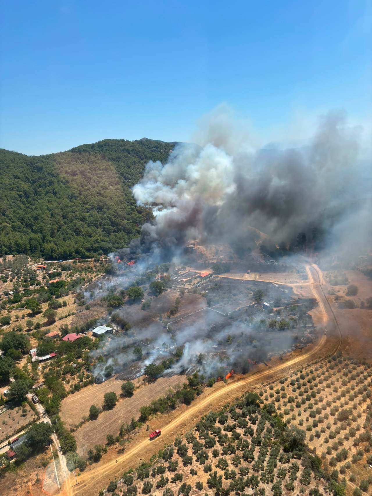 Muğla, Antalya, Elazığ… 3 ilde orman yangını! Alevlere müdahale sürüyor