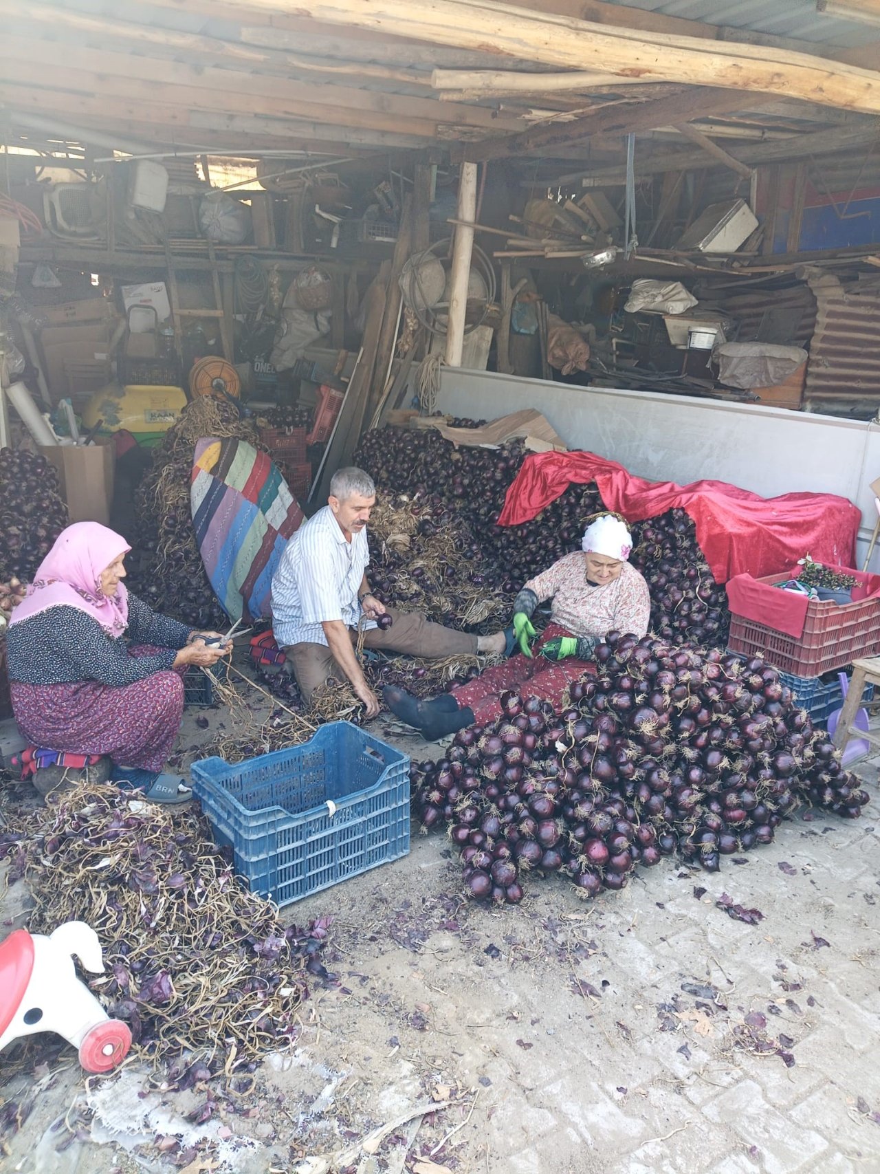 Coğrafi işaretli ürün bu yıl 700 ton üretildi! Tarlada kilosu 50 lira