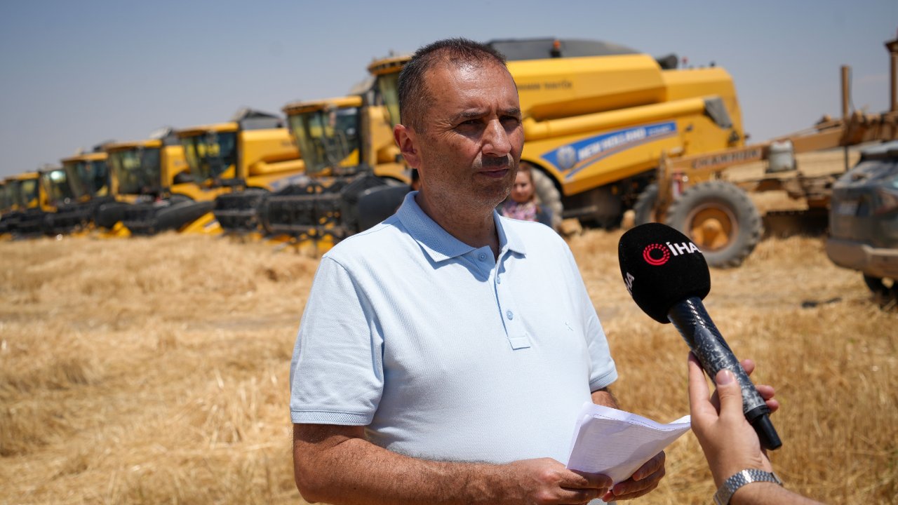 Sarı altın hasadı başladı! Verimde büyük artış, bu yıl bolluk var