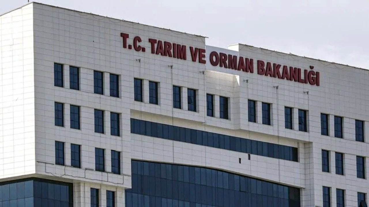 Tarım ve Orman Bakanlığı'nın 1874 personel alımında detaylar belli oldu! İşte aranan meslekler