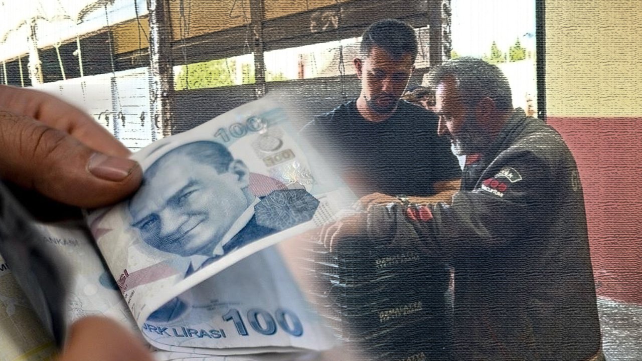 Afyonkarahisar'da hasadı başladı! Tarlada fiyatı 60 lirayı buldu, Avrupa ve ABD sıraya girdi 