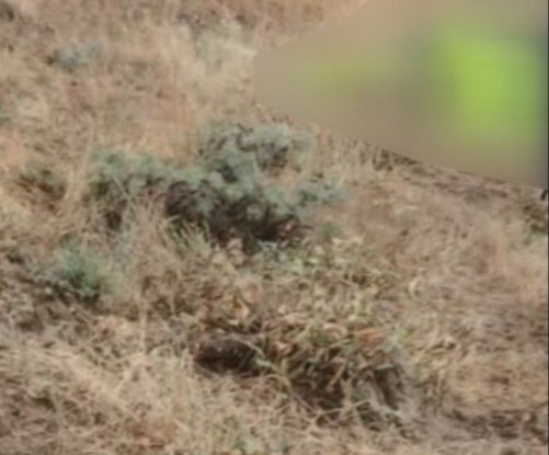 Evden çıktıktan 5 dakika sonra... Yıldırım isabet etti, oracıkta can verdi