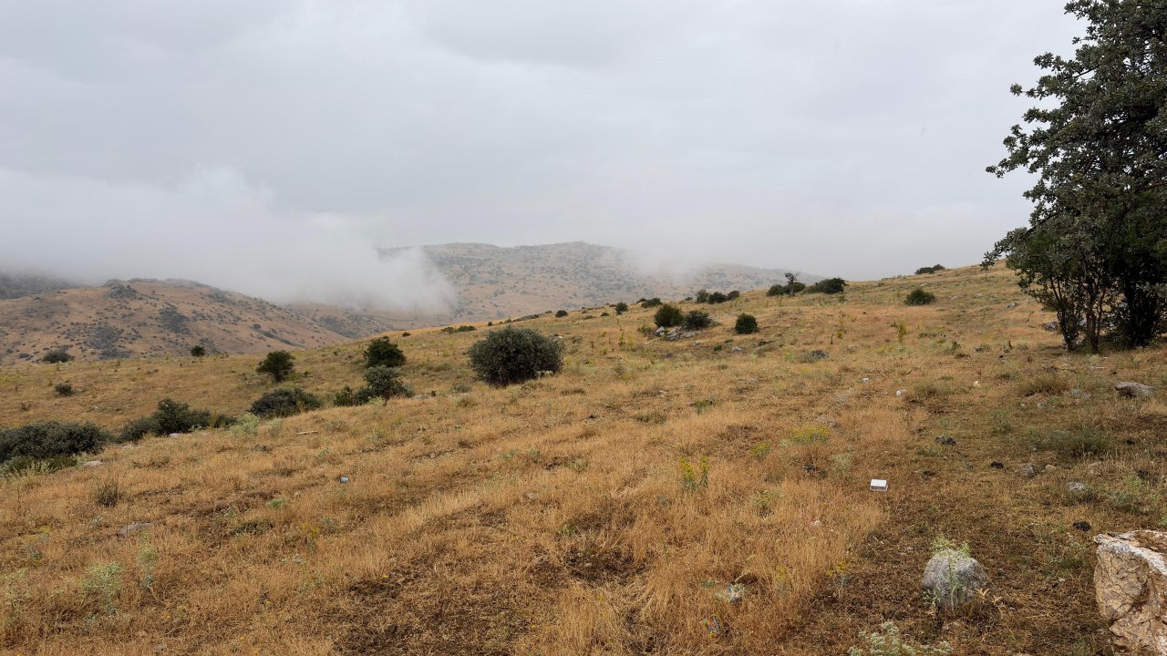 Evden çıktıktan 5 dakika sonra... Yıldırım isabet etti, oracıkta can verdi