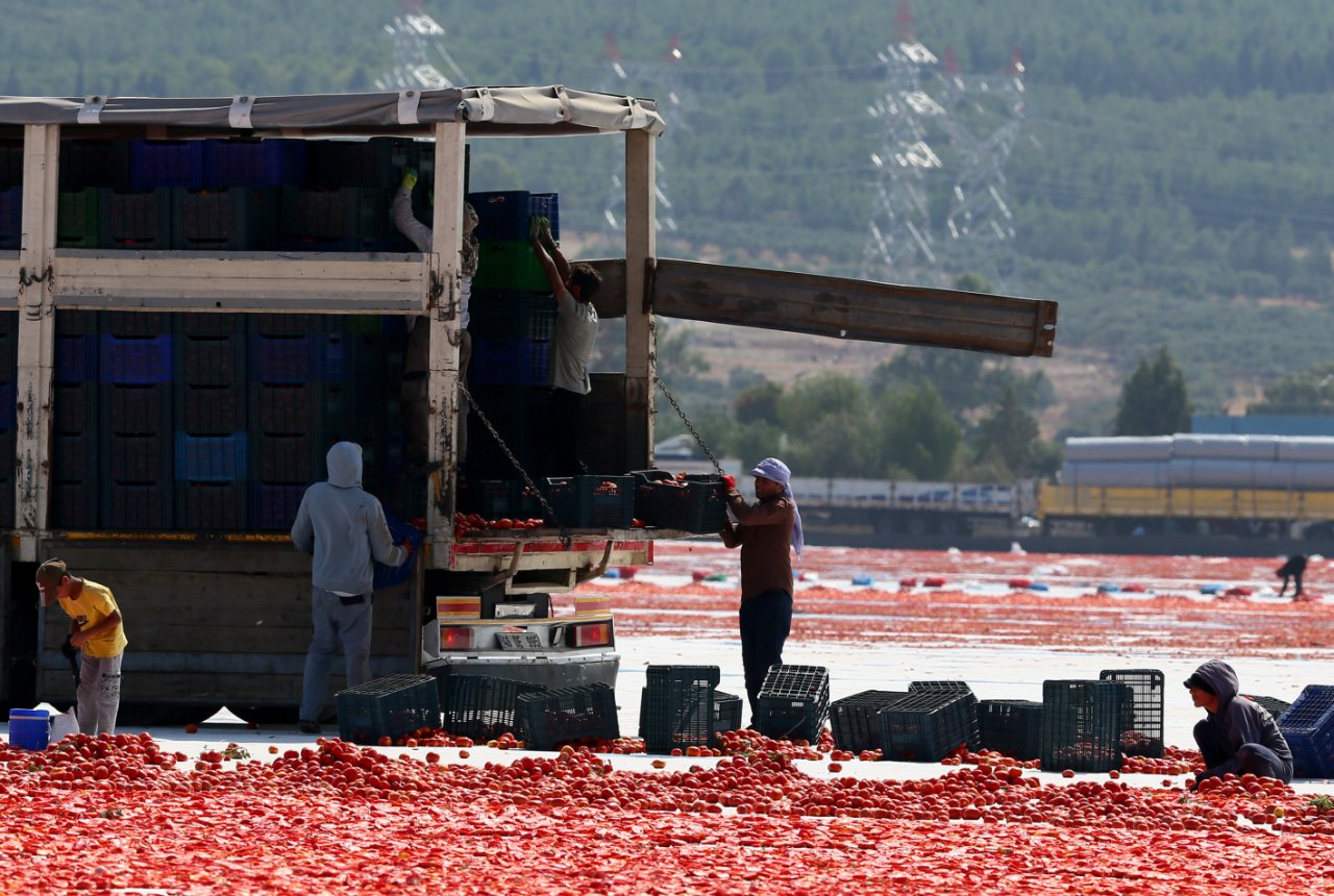 91 ülkeye satıyoruz! En büyük müşteri ABD: 6 ayda 61 milyon dolar kazandırdı