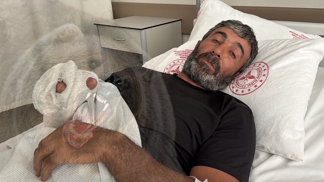 Ayı saldırdı, yere yıktı! Erzincanlı çiftçi kürekle hayatta kaldı